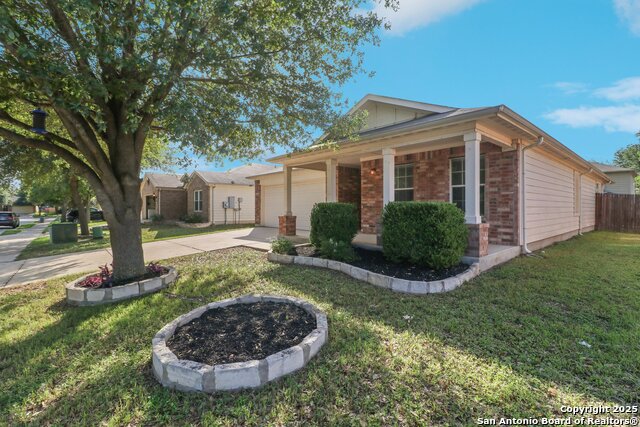621 Cotton Patch, Schertz, Texas image 5