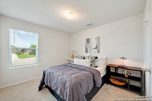 833 Armadillo Dr, Seguin, Texas image 19