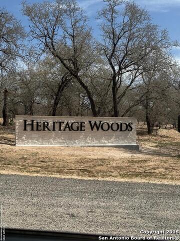 148 Syrah St, La Vernia, Texas image 5