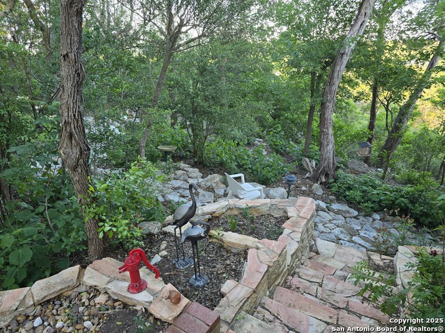 9840 Tower View, Helotes, Texas image 19