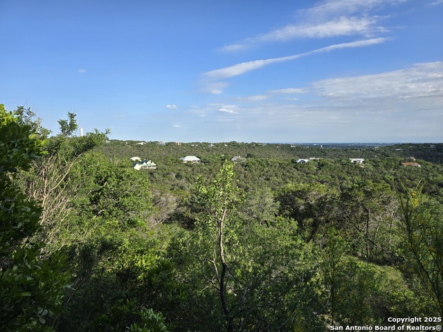 9840 Tower View, Helotes, Texas image 24
