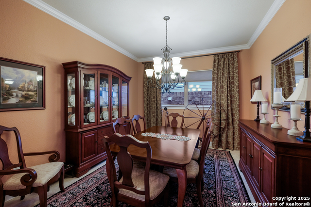 16518 Sierra Linda, Helotes, Texas image 15