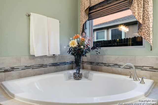 16518 Sierra Linda, Helotes, Texas image 21