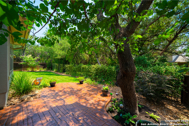 16518 Sierra Linda, Helotes, Texas image 36