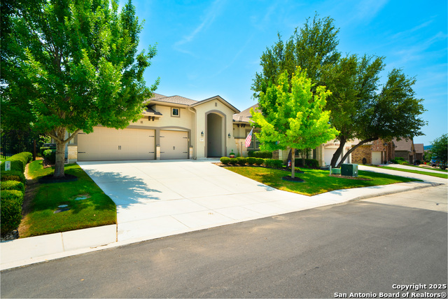 16518 Sierra Linda, Helotes, Texas image 6