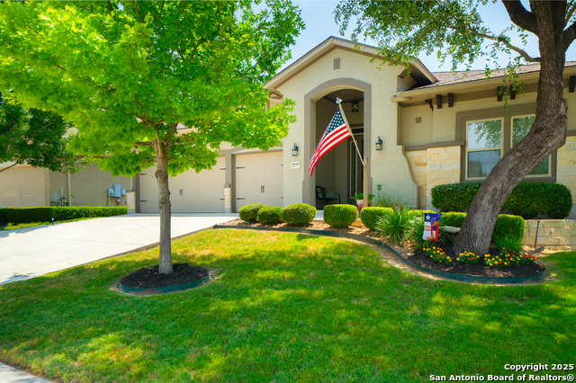 16518 Sierra Linda, Helotes, Texas image 7