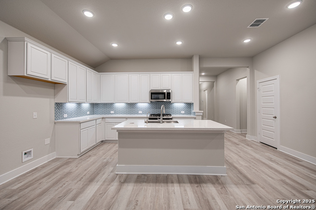 140 Cherrybark Oak, Castroville, Texas image 3