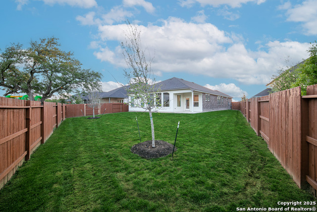 140 Cherrybark Oak, Castroville, Texas image 5