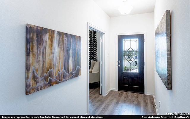 1236 Sweden, Seguin, Texas image 1