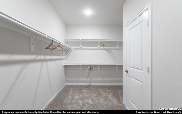 1225 Agnus Grove, Seguin, Texas image 12