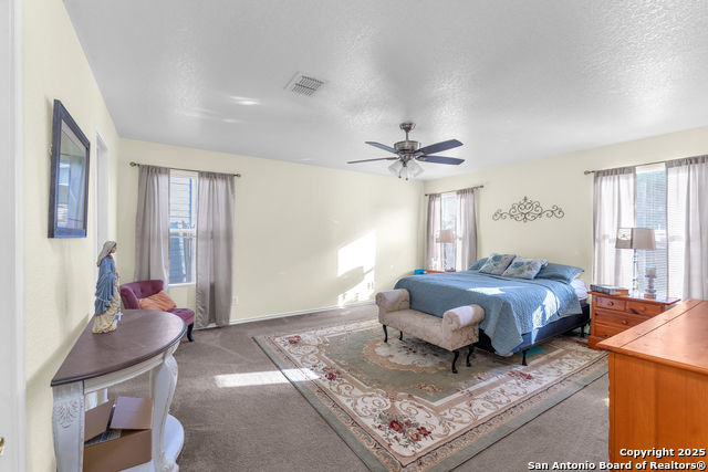 208 Gatewood Oak, Cibolo, Texas image 18