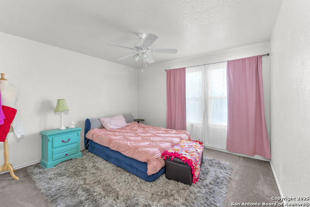 208 Gatewood Oak, Cibolo, Texas image 33
