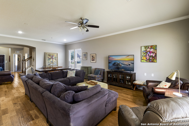 10858 Red Sage, Helotes, Texas image 10