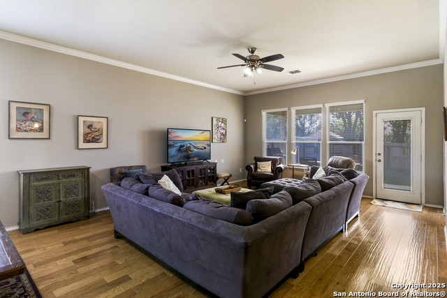 10858 Red Sage, Helotes, Texas image 11