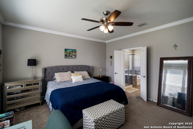 10858 Red Sage, Helotes, Texas image 13