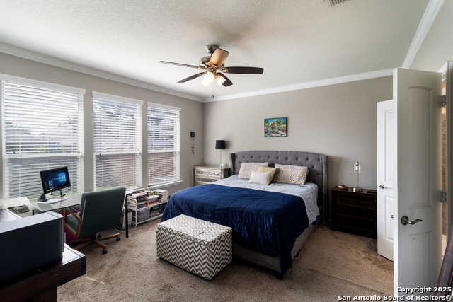 10858 Red Sage, Helotes, Texas image 14