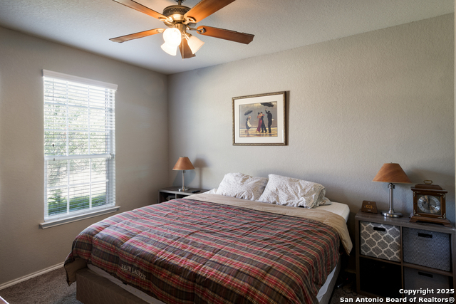 10858 Red Sage, Helotes, Texas image 17