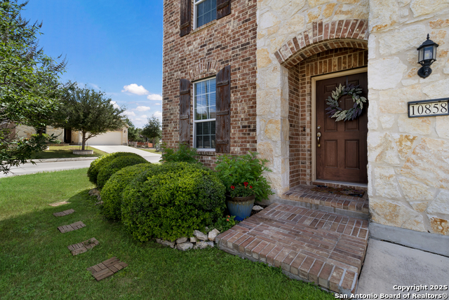 10858 Red Sage, Helotes, Texas image 2