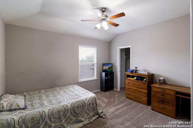 10858 Red Sage, Helotes, Texas image 24