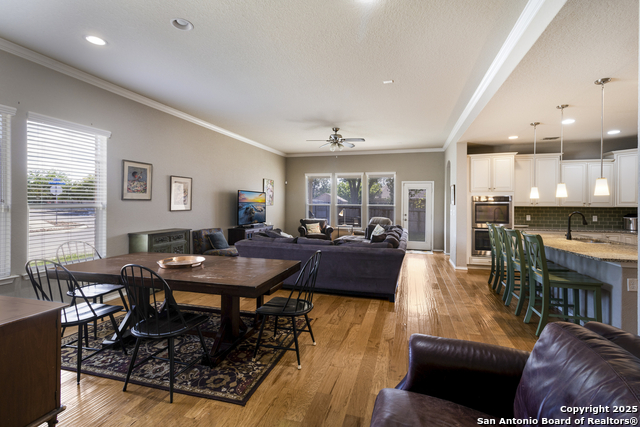 10858 Red Sage, Helotes, Texas image 4