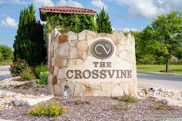 8013 Trail Grant, Schertz, Texas image 2
