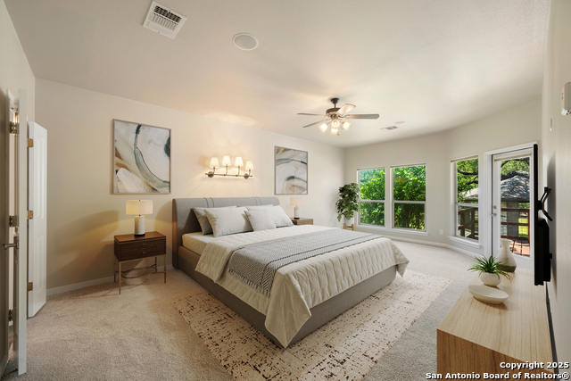 14303 John David, Helotes, Texas image 15