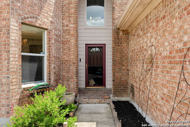 15603 Hastings Park, Selma, Texas image 3