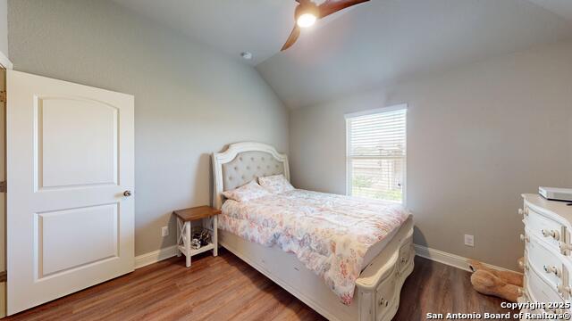 2542 Varrelmann, New Braunfels, Texas image 36