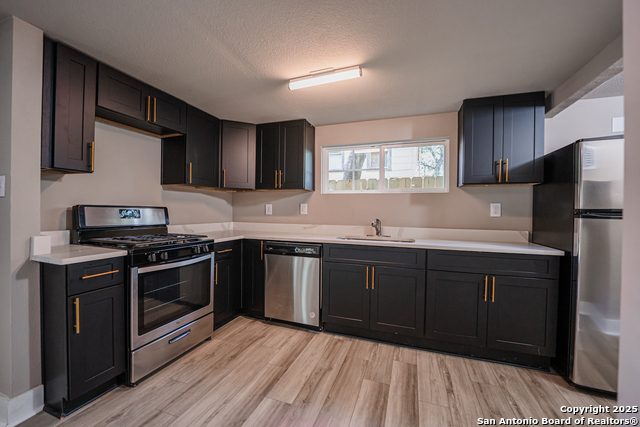 312 Avondale, San Antonio, Texas image 12