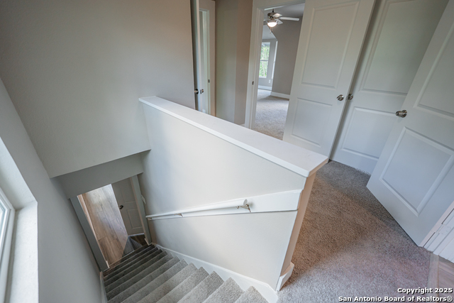 312 Avondale, San Antonio, Texas image 26