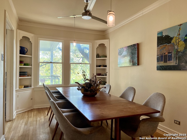 401 Shook, San Antonio, Texas image 10