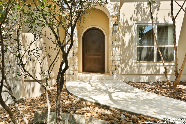 12302 Calvert, Helotes, Texas image 4