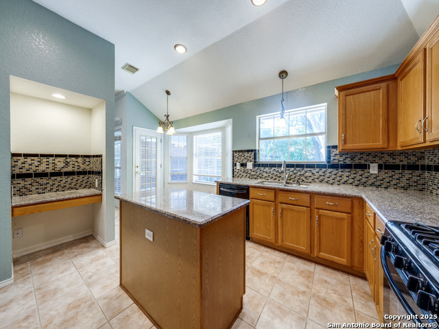 9411 Camino Venado, Helotes, Texas image 11