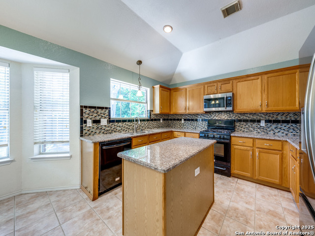 9411 Camino Venado, Helotes, Texas image 12