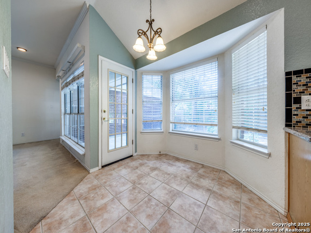 9411 Camino Venado, Helotes, Texas image 13