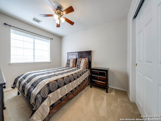 9411 Camino Venado, Helotes, Texas image 17