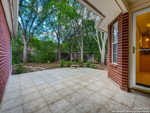 9411 Camino Venado, Helotes, Texas image 21