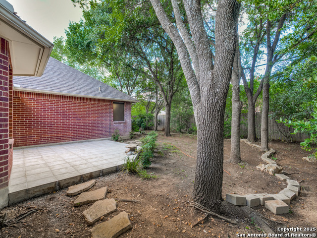 9411 Camino Venado, Helotes, Texas image 22