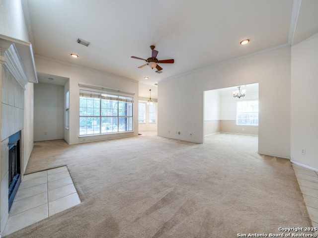 9411 Camino Venado, Helotes, Texas image 7