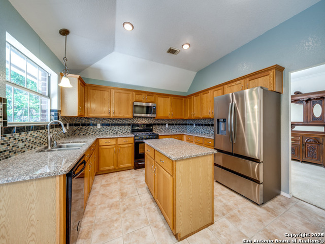 9411 Camino Venado, Helotes, Texas image 9