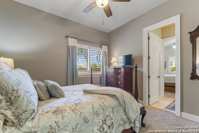 135 Penns Way, Shavano Park, Texas image 45