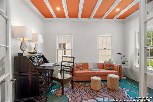 241 W Elsmere, San Antonio, Texas image 22
