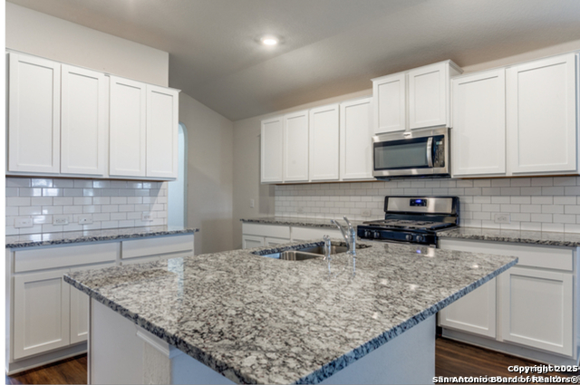 232 Cuban Emerald, San Antonio, Texas image 7
