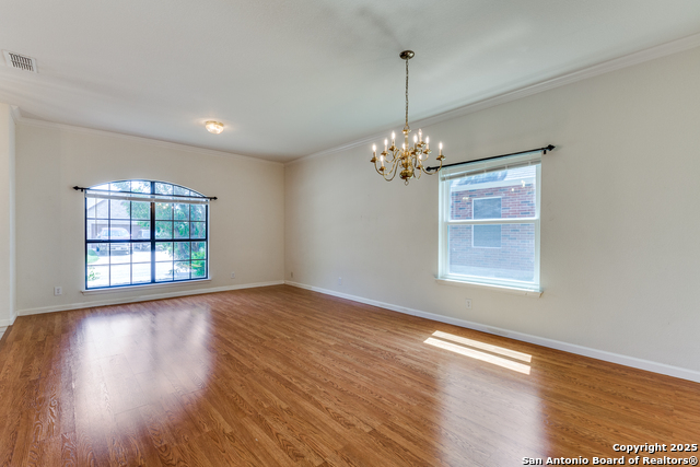 9419 Camino Venado, Helotes, Texas image 3