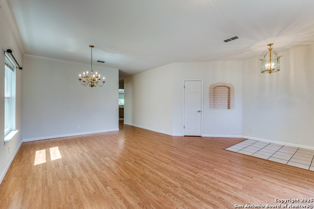 9419 Camino Venado, Helotes, Texas image 5