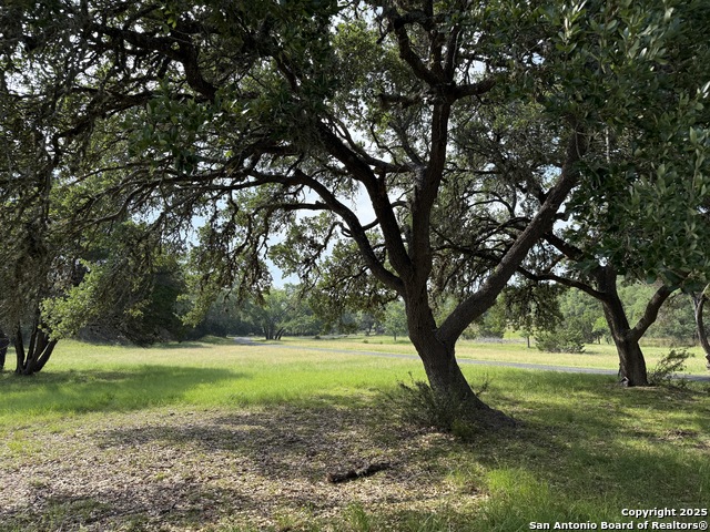 320 Remington Dr, Bergheim, Texas image 45