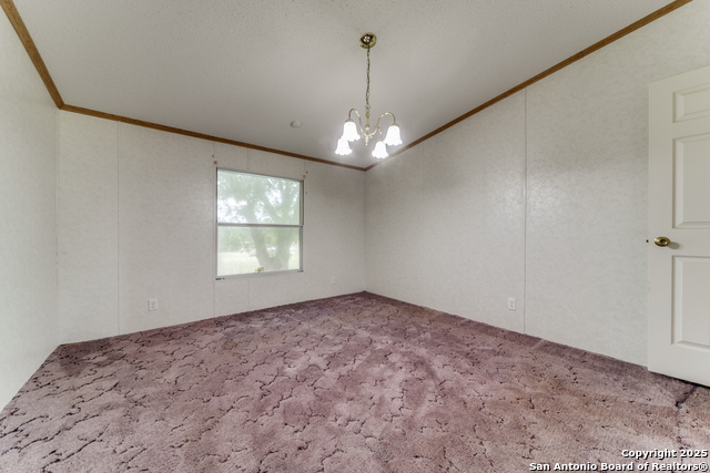 523 Rangeland, Blanco, Texas image 24