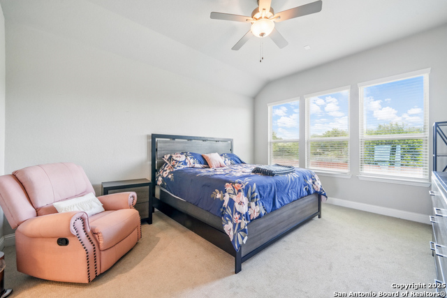 355 Jereth, Castroville, Texas image 15