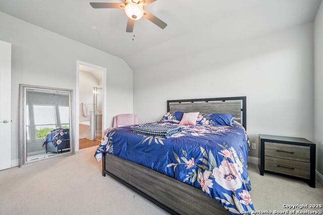 355 Jereth, Castroville, Texas image 16