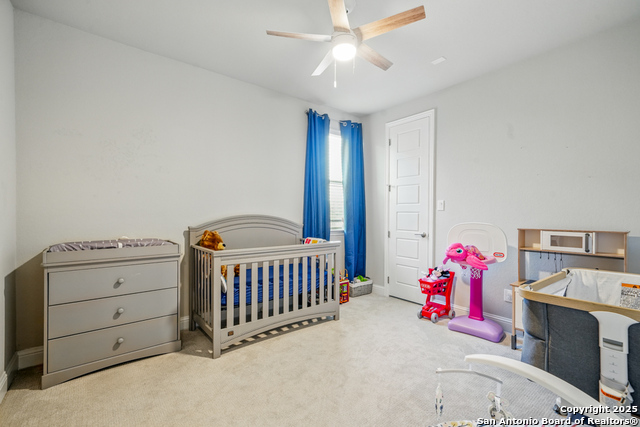 355 Jereth, Castroville, Texas image 20